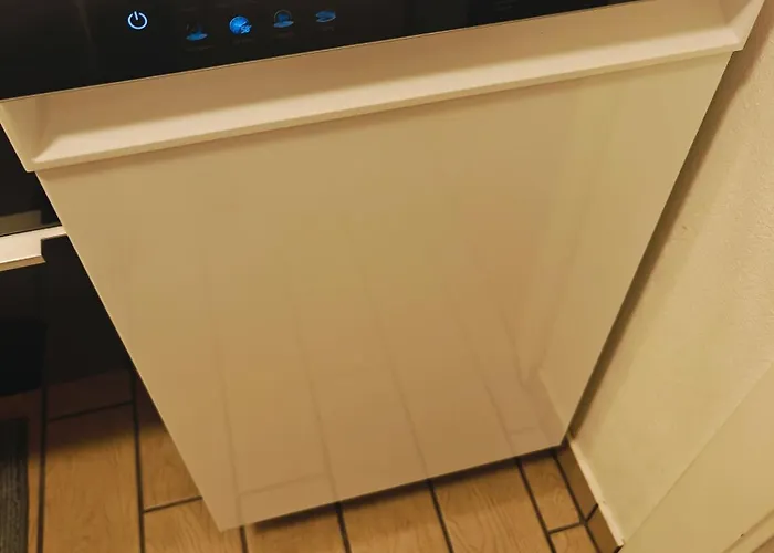 Rosengren Residence, Fireplace & Barbecue